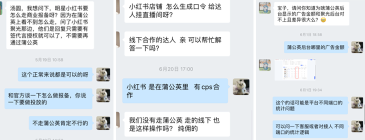 小红书专栏上新 | 达人种草之蒲公英平台操作指南