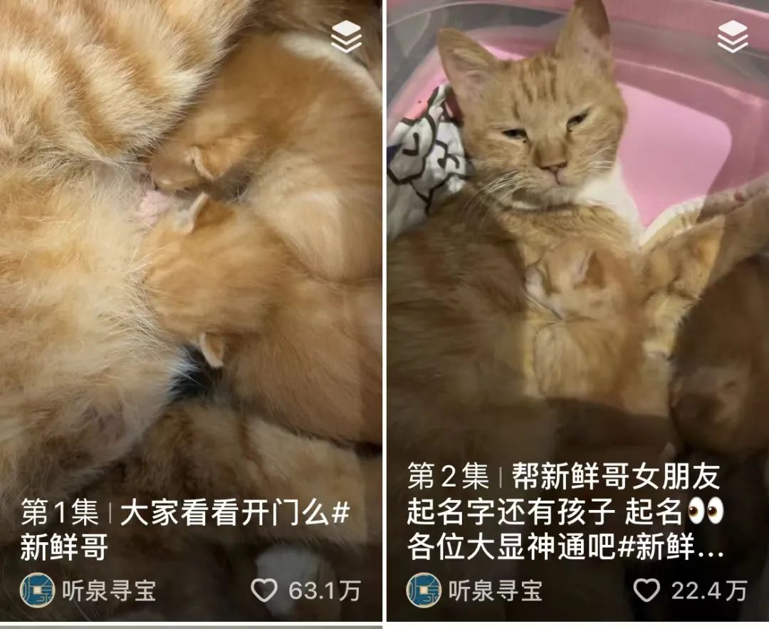 不看文物看黑丝？这个账号3个月狂涨648万粉丝！