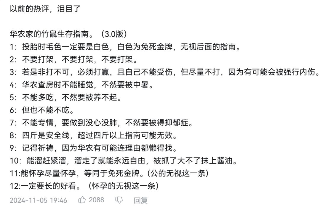 李子柒、华农兄弟回归的2024,内容营销迈向“新纪元”