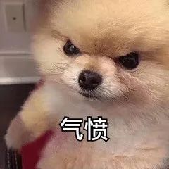 带了4000+职场人,成功率最高的求职方法终于被我找到了。