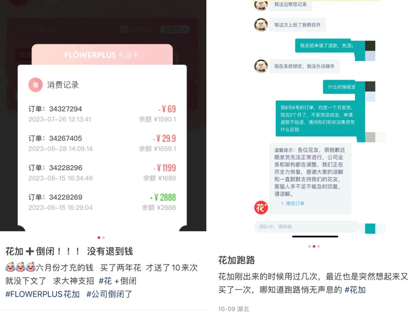 花加停业,鲜花电商倒在双十一前