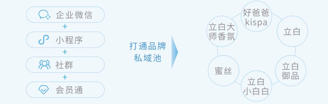 腾讯新提的全域 STAR 模型都包括啥？
