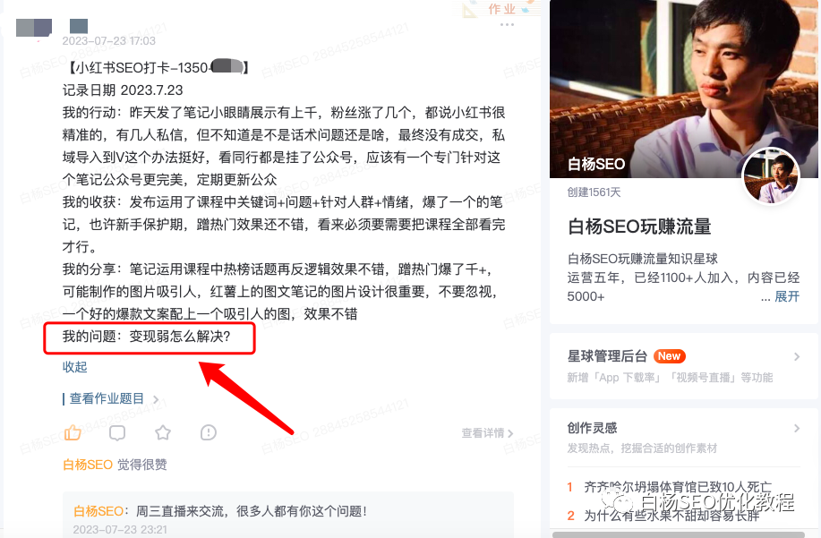白杨SEO:有流量,变现弱怎么解决?