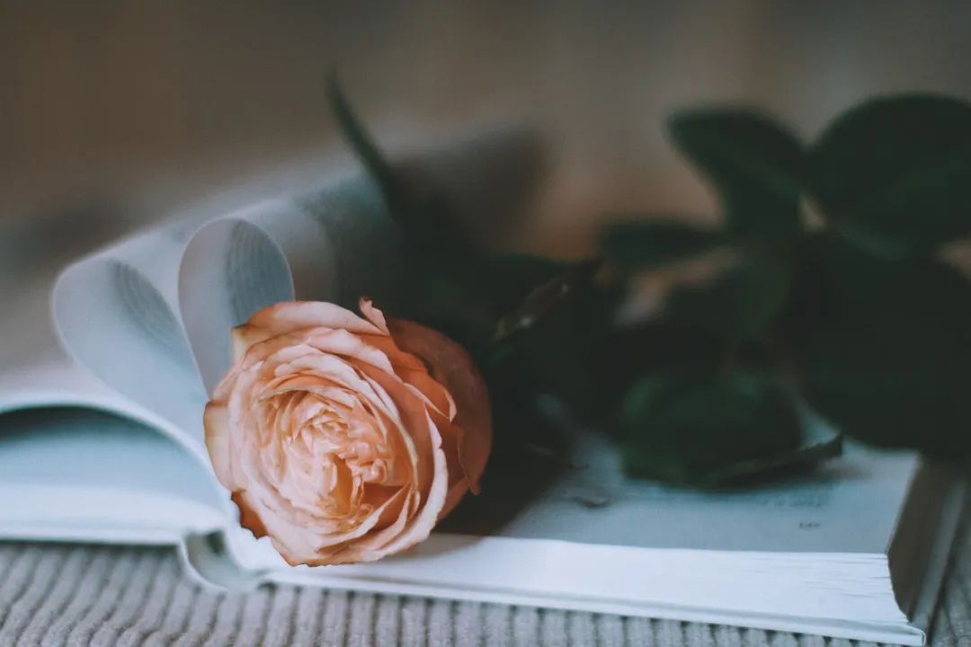不求桃花只求财,情人节遭“毒打”