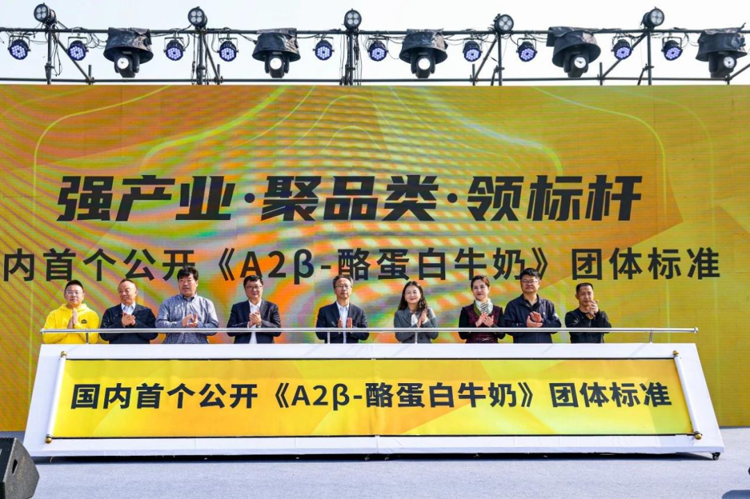 认养一头牛,十年跑出一头灵活且踏实的牛