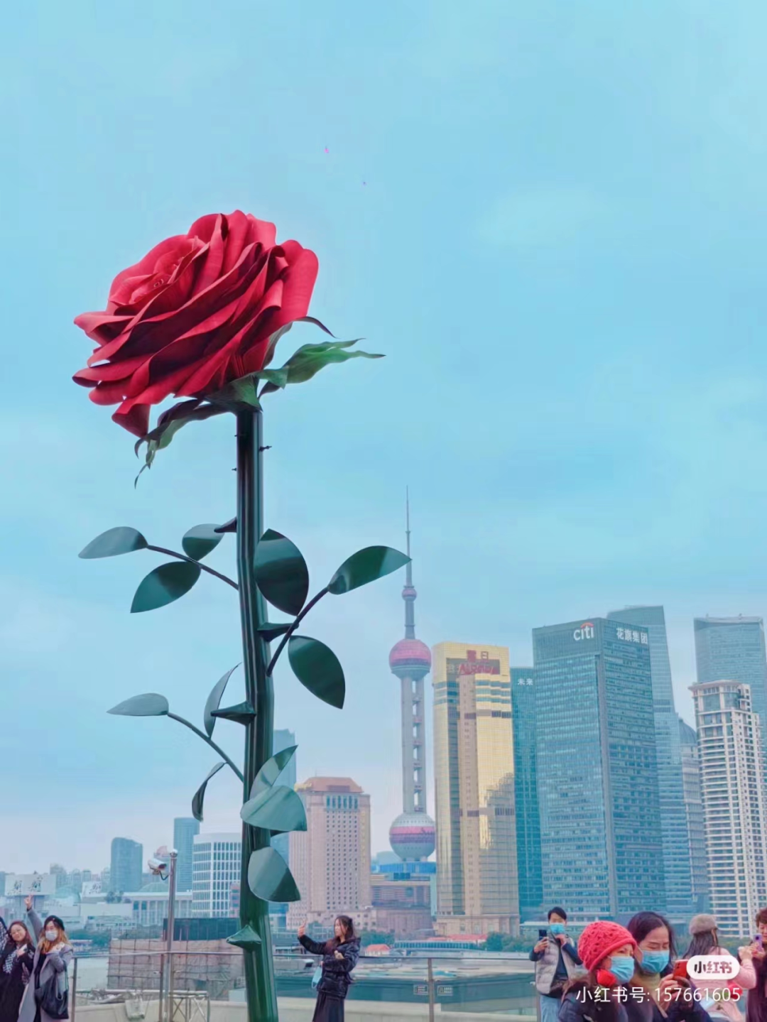 吊打董明珠的“玫瑰空调”,肯德基情侣周边好辣眼!