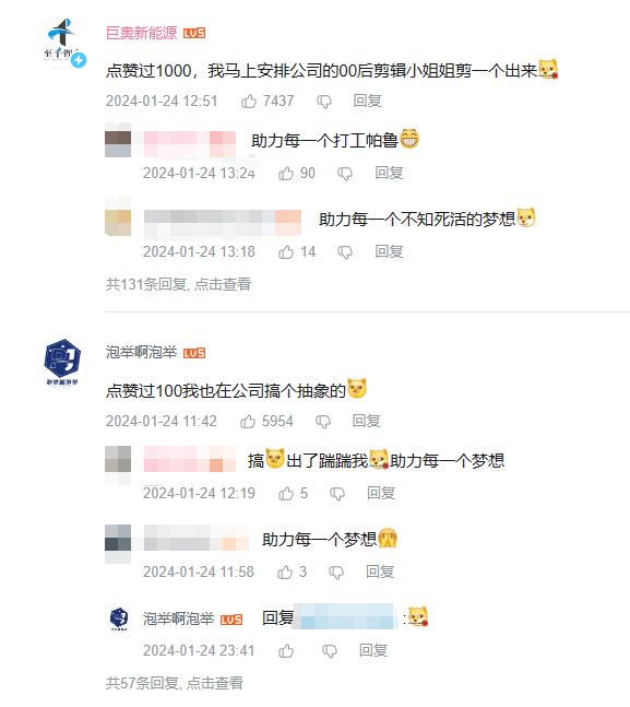 00后官号运营，正在用猫meme勇闯职场