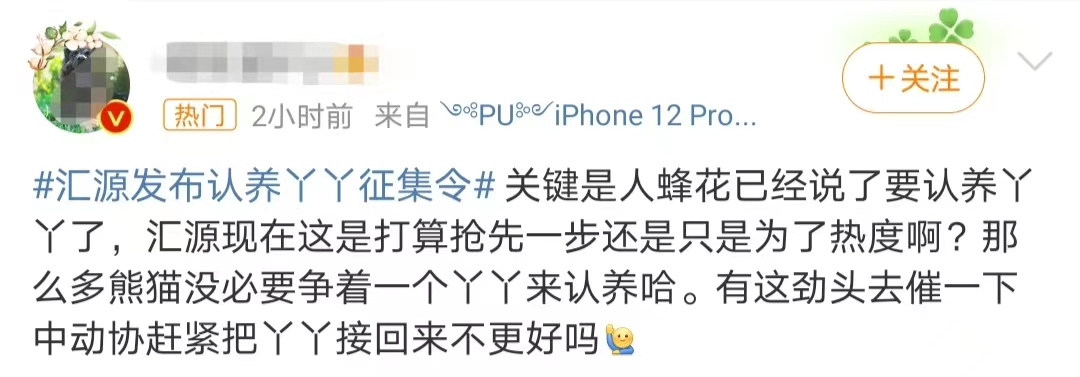 蜂花和汇源争夺熊猫丫丫?网友吵翻天了