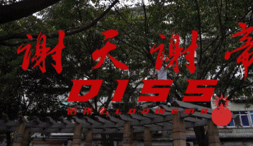“成都迪士尼”爆火的真正原因,全网首度揭秘。。。