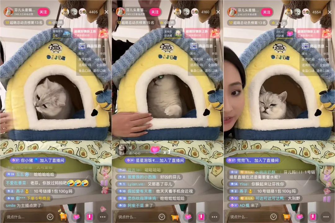 咆哮式训狗吸粉1250万,宠物赛道变天了?