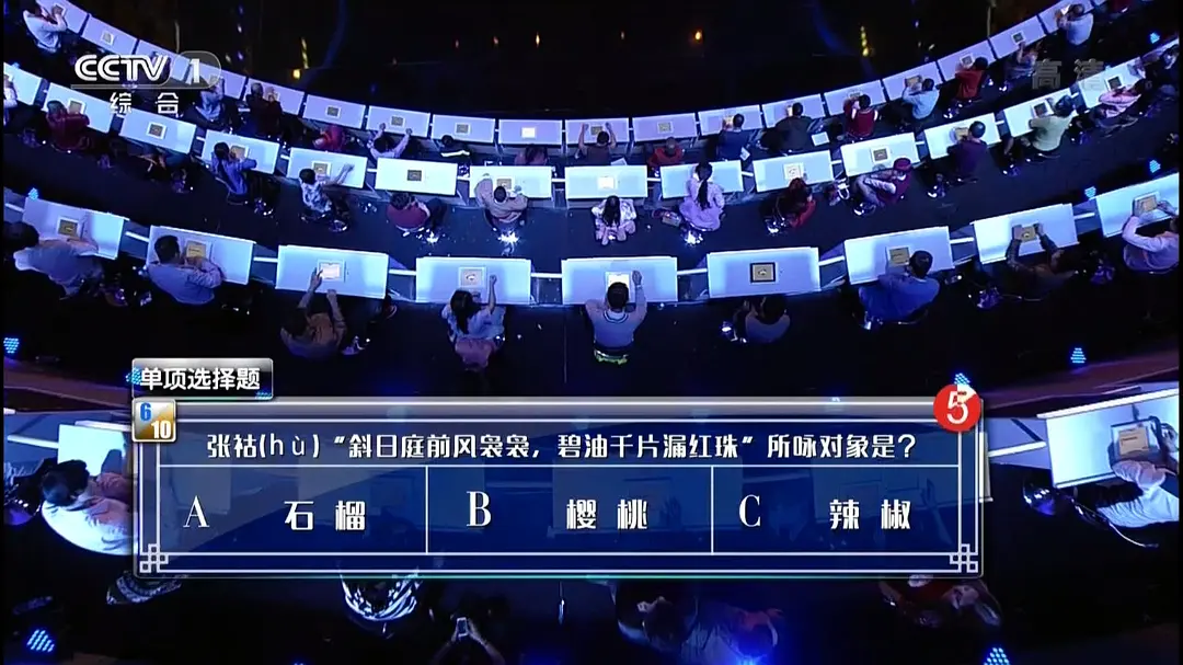 文化类节目出圈,谁在圈粉年轻人?