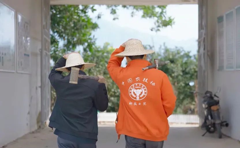 消费不降反升级,拼多多的财报里隐藏中国人的“向上”生活