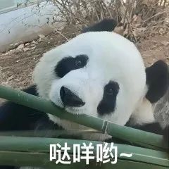 抖音新手常踩5大坑,90%的创作者都栽过