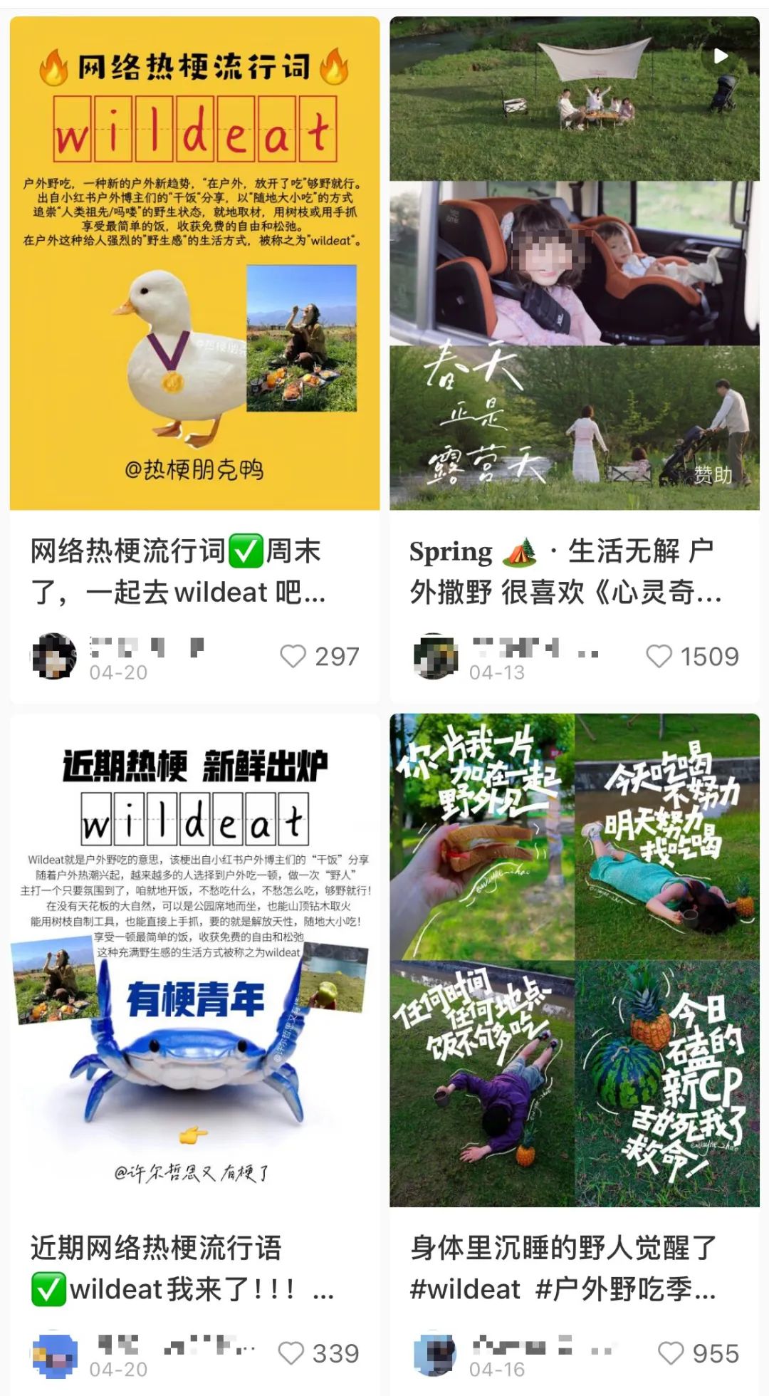 继Citywalk爆火后,Wildeat又火了