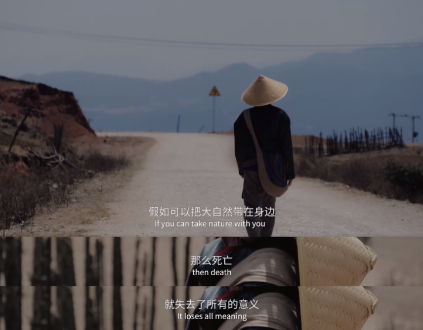 盘点2021最戳人心的营销案例,值得每个品牌进来抄作业