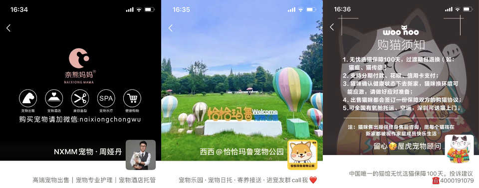 图片 图片