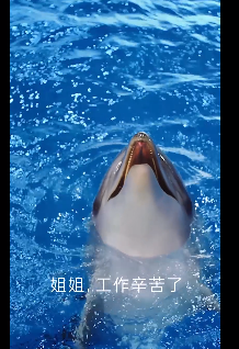 记者帮 | 杭州一小区电梯“海豚皮”仿生面膜广告,会“发声”,听着实在瘆得慌