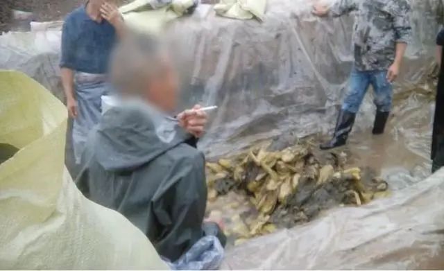 茅台&ldquo;少女洗脚照&rdquo;曝光被夸，康师傅蚌埠住了
