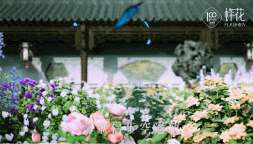 品牌升级怎么做?蜂花以一场「视觉」+「嗅觉」盛宴惊艳破局