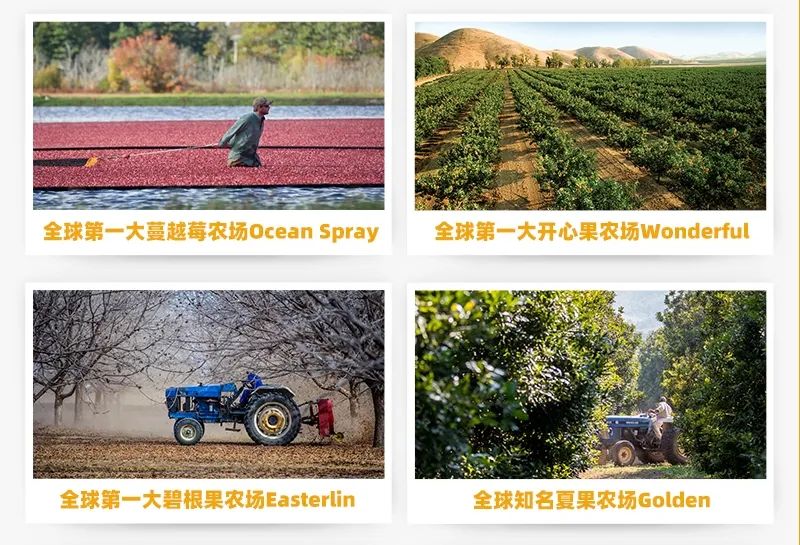 穿越“至暗期”后,三只松鼠的“百亿路”稳了吗?