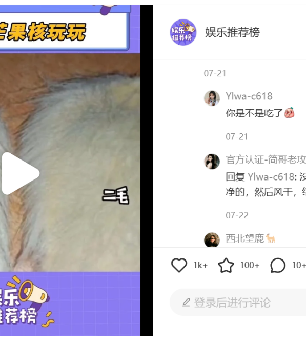 从“养芒狗”事件,看双11如何打造小红书低门槛营销爆款?
