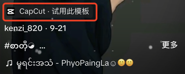 字节跑出的AI黑马,全球MAU超8亿,收入近百亿