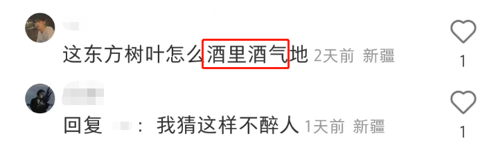 东方树叶被魔改!网友:啤里啤气