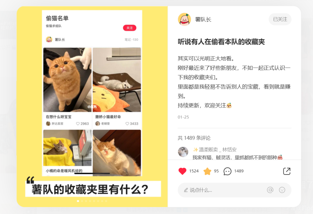 小红书再出新动作：网页版更新！
