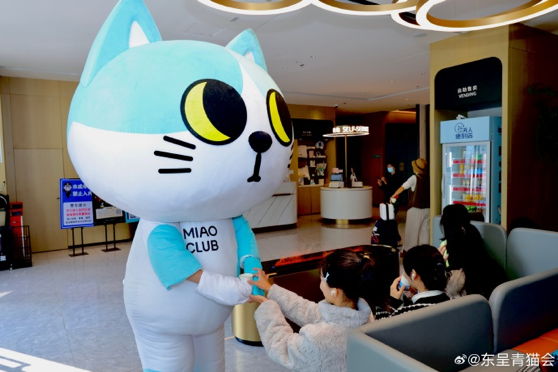 酒店如何让年轻人上头?先“吸猫”!