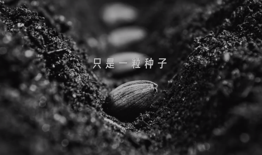 快手新市井电商,让商业的种子生生不息