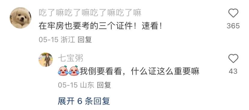 小红书网感文案，句句神标题