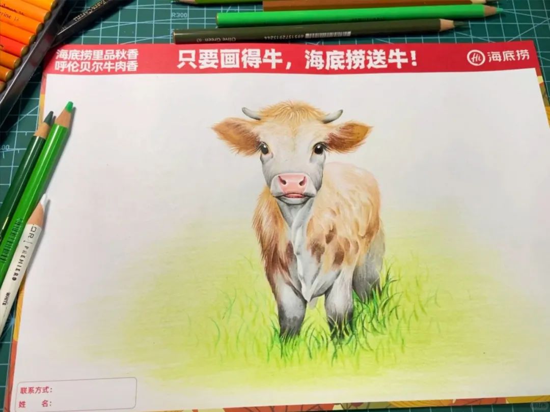 画牛得牛,海底捞真牛!