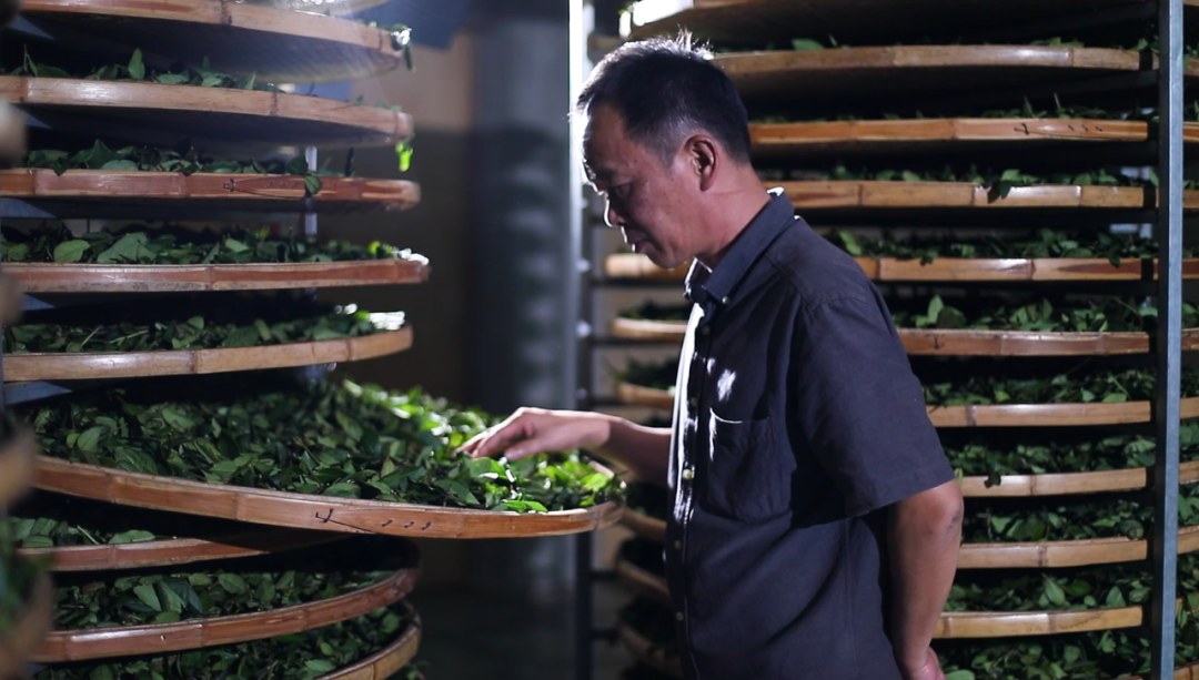 产业带备战春茶季,中小茶商在抖音电商应该如何发力?