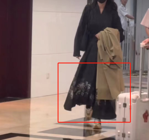被“不雅照”毁掉的她,靠“暴揍”辱华品牌翻红?!
