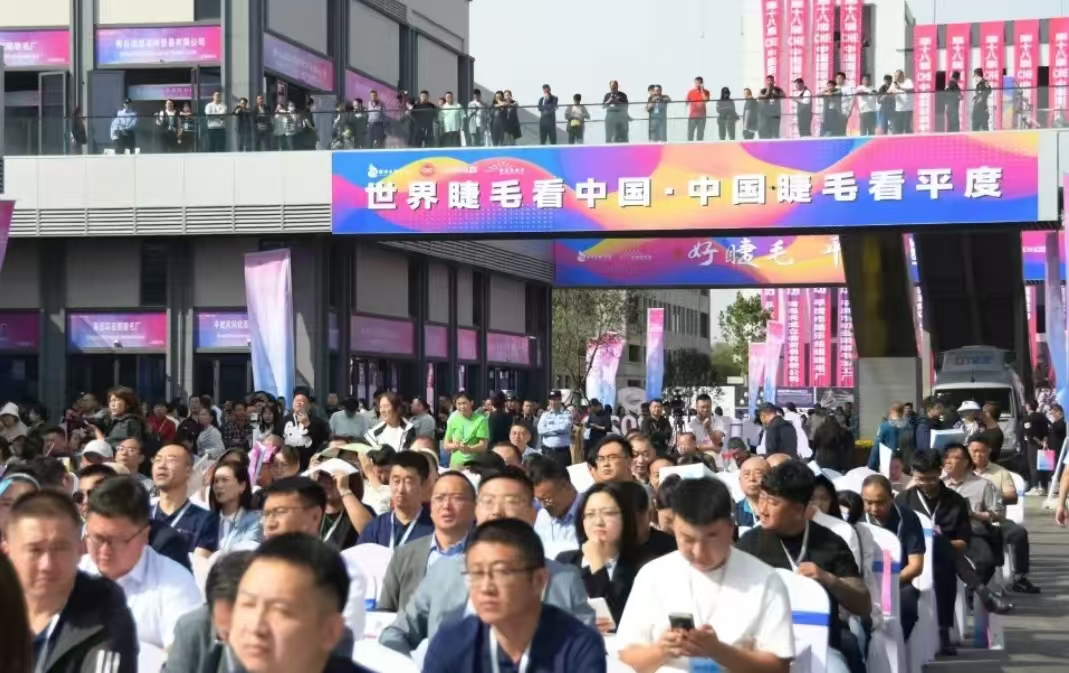 &ldquo;新质商家&rdquo;成大促主力，拼多多意欲何为？