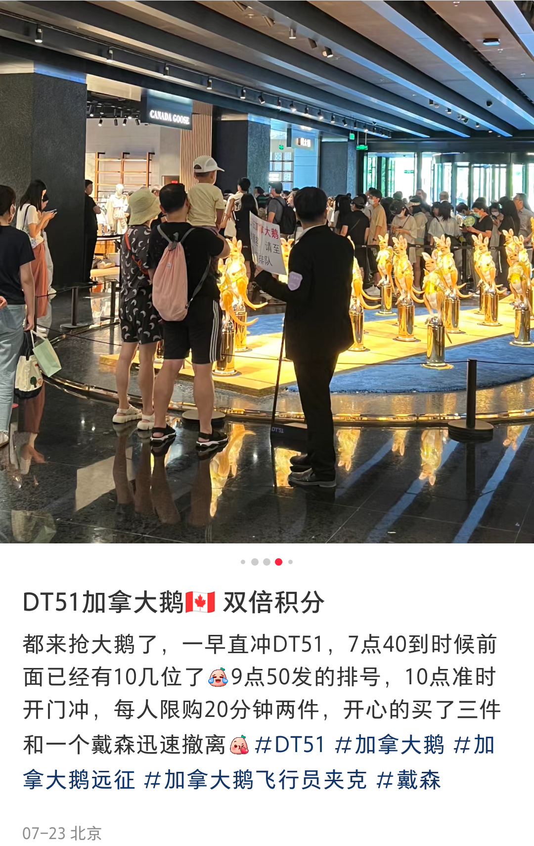 七月疯抢加拿大鹅，跟不要钱似的