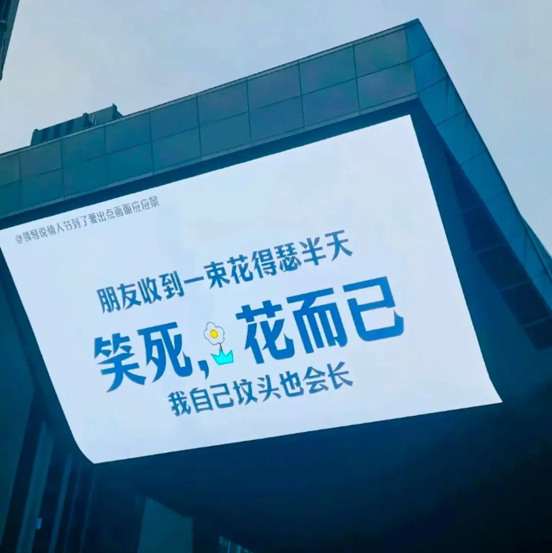 上海武康路郁金香陷&ldquo;诈骗门&rdquo;？城市营销别太离谱了