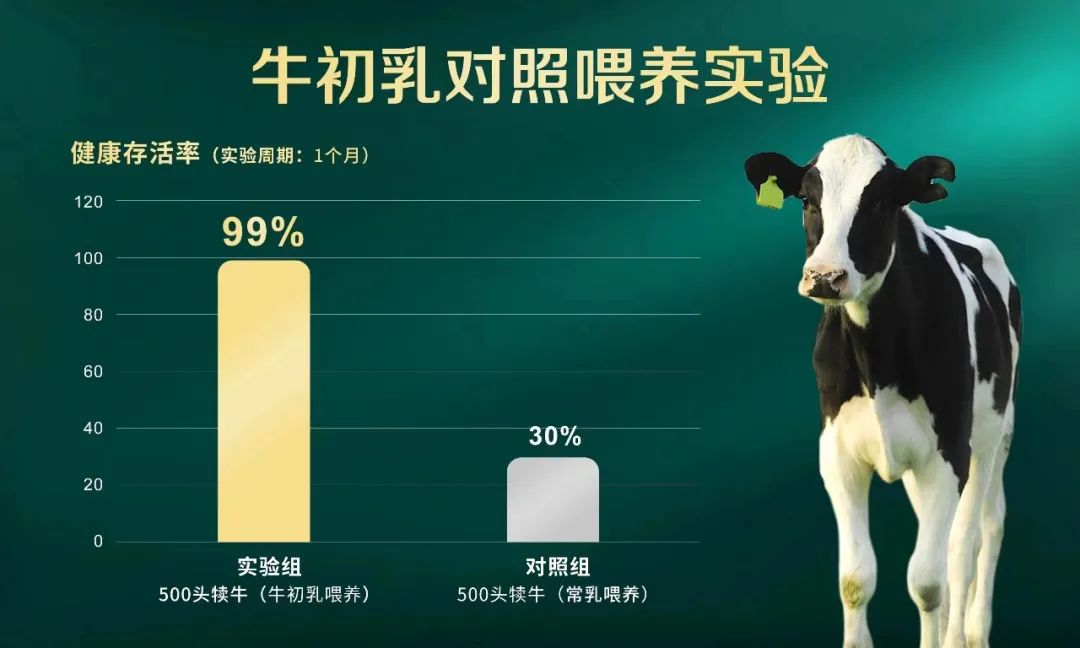 品类战争:霸屏三大顶级年终秀的爱本,与成人配方奶粉的春天