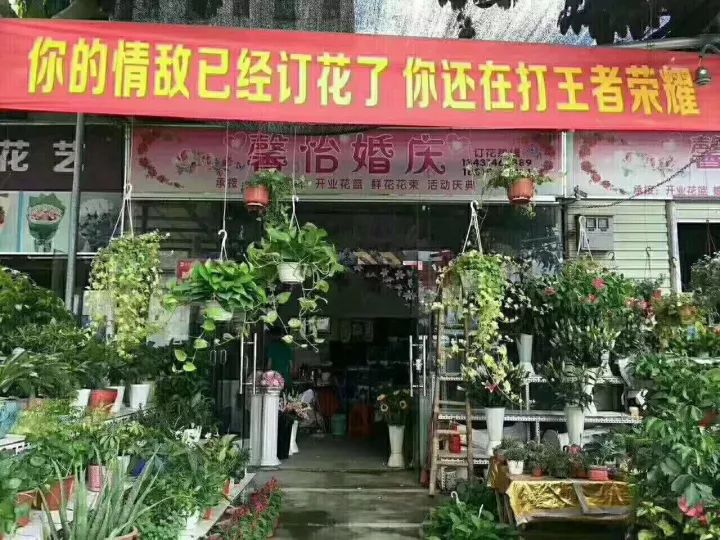 图片 图片
