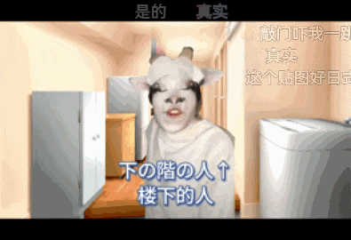 7天B站涨粉20万，&ldquo;猫meme&rdquo;为何风靡全网？