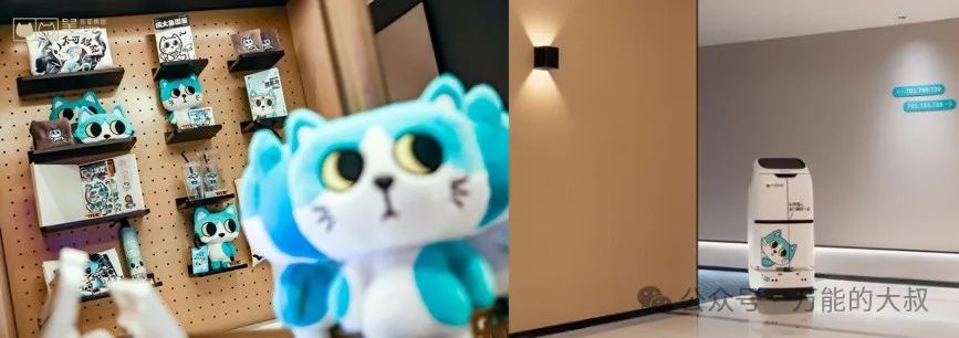酒店如何让年轻人上头?先“吸猫”!