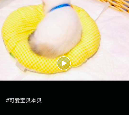屏幕快照 2021-01-29 上午11.34.57.png 屏幕快照 2021-01-29 上午11.34.57.png