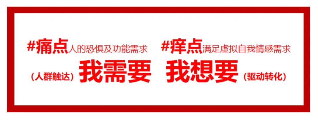 6年做到品类第一!高热宠物用品赛道来看pidan怎么做小红书投放布局?