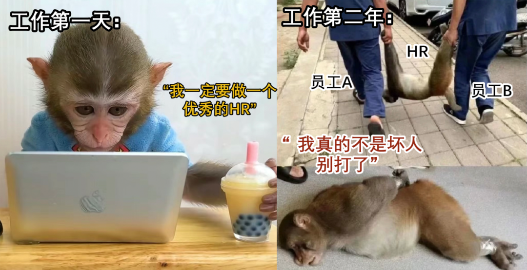 最毒嘴替HR火了,我也想说......