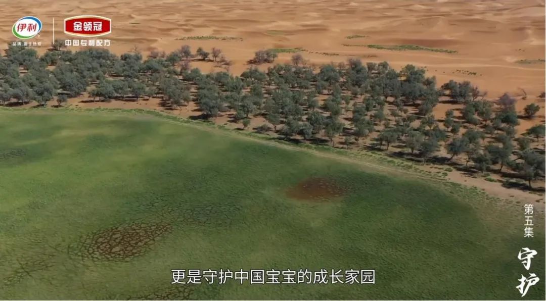 这部风靡全网的纪录片,带你见证中国奶粉如何“超越自我”