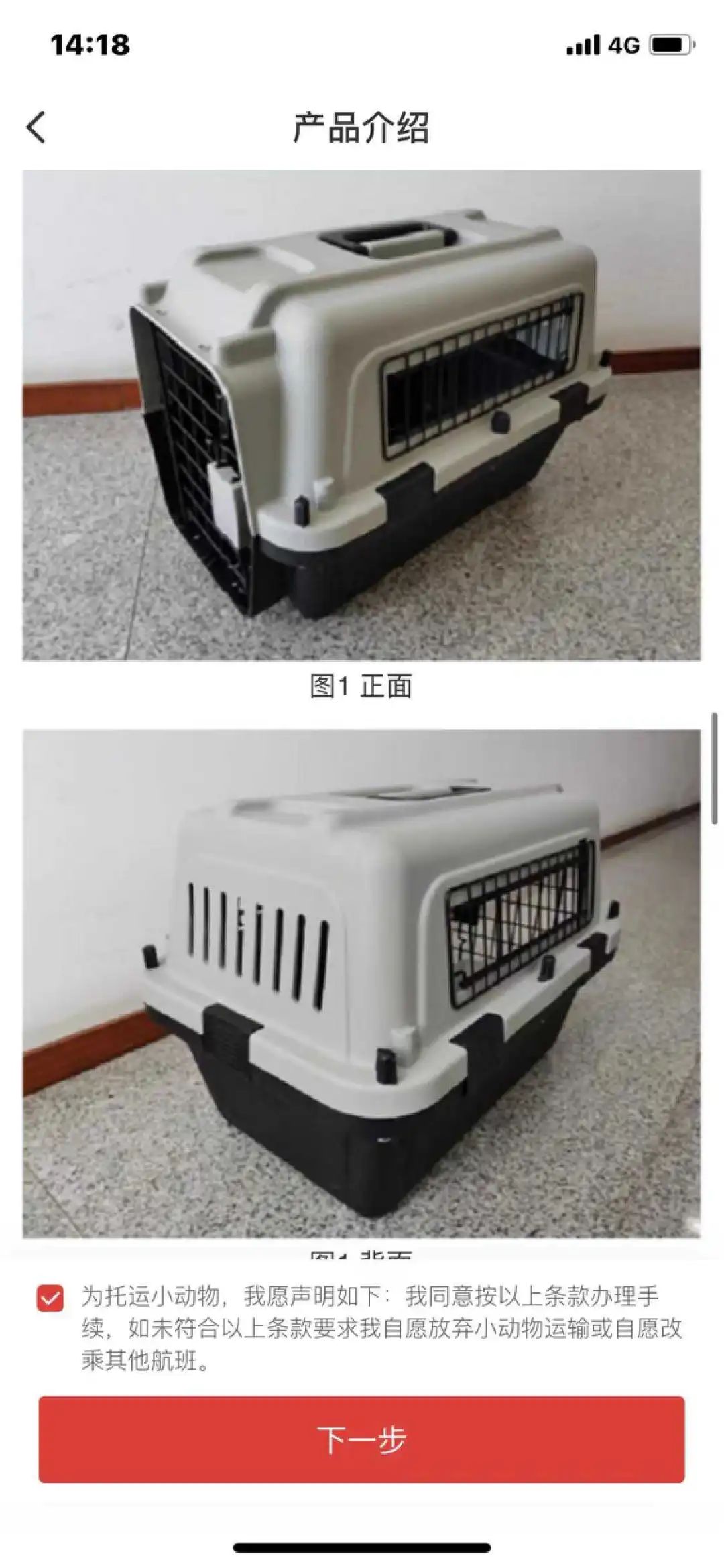 “毛孩子”的春节,“铲屎官”的喜乐忧虑