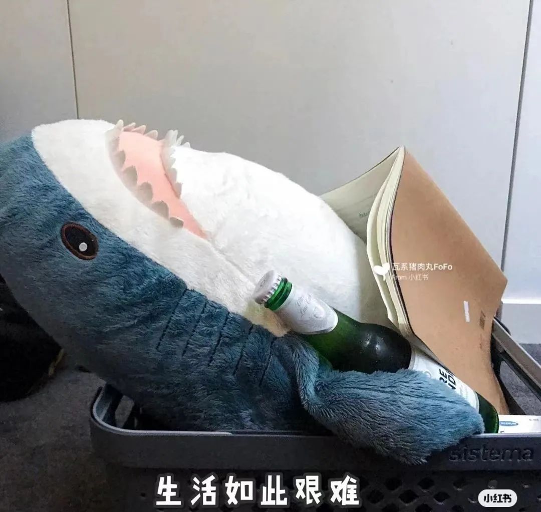 宜家玩偶鲨鲨火爆全网,又丧又萌“鲨”疯了