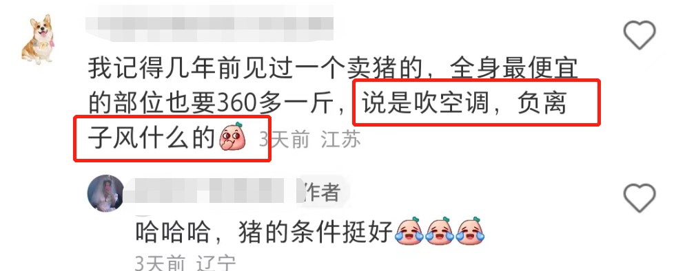 盒马的猪,把刘畊宏女孩卷疯了!