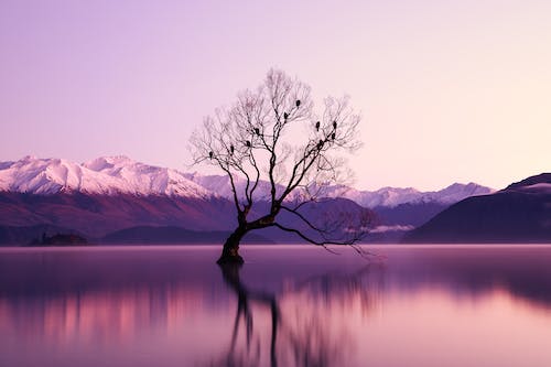 国外营销策略的文献(市场营销中运用广告的策略与促销手段)