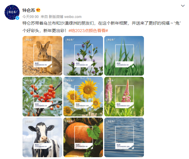 特仑苏又出爆款,这组新年限定款为何深入人心?